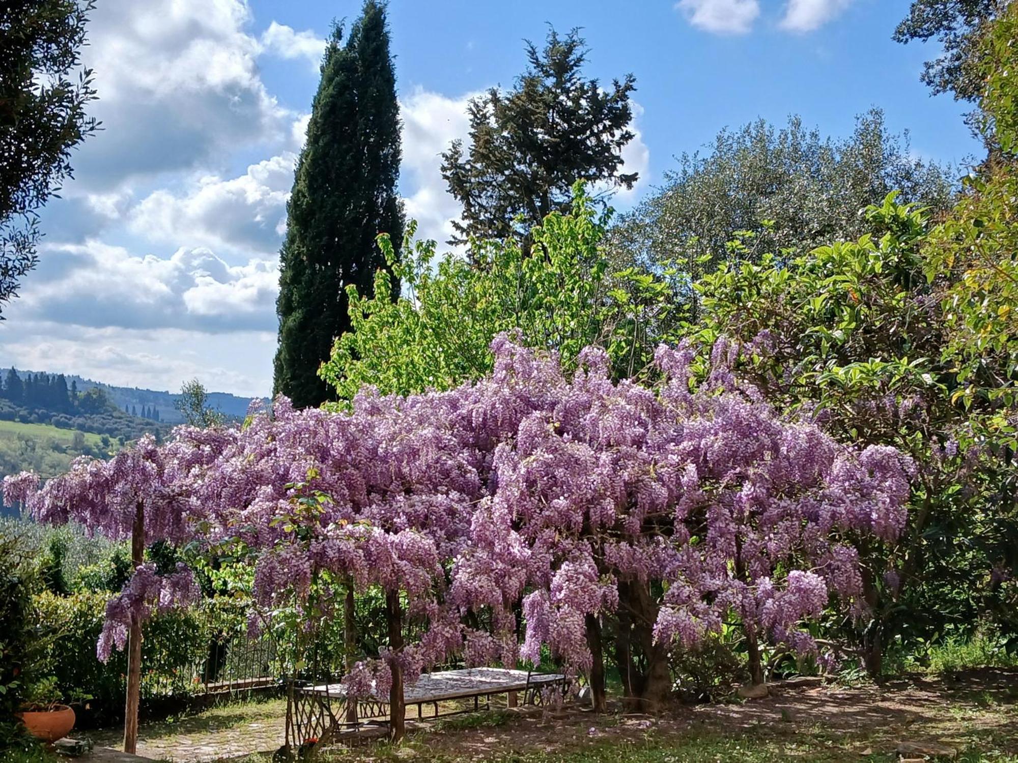 Agriturismo Villa Gorgognano Certaldo Luaran gambar