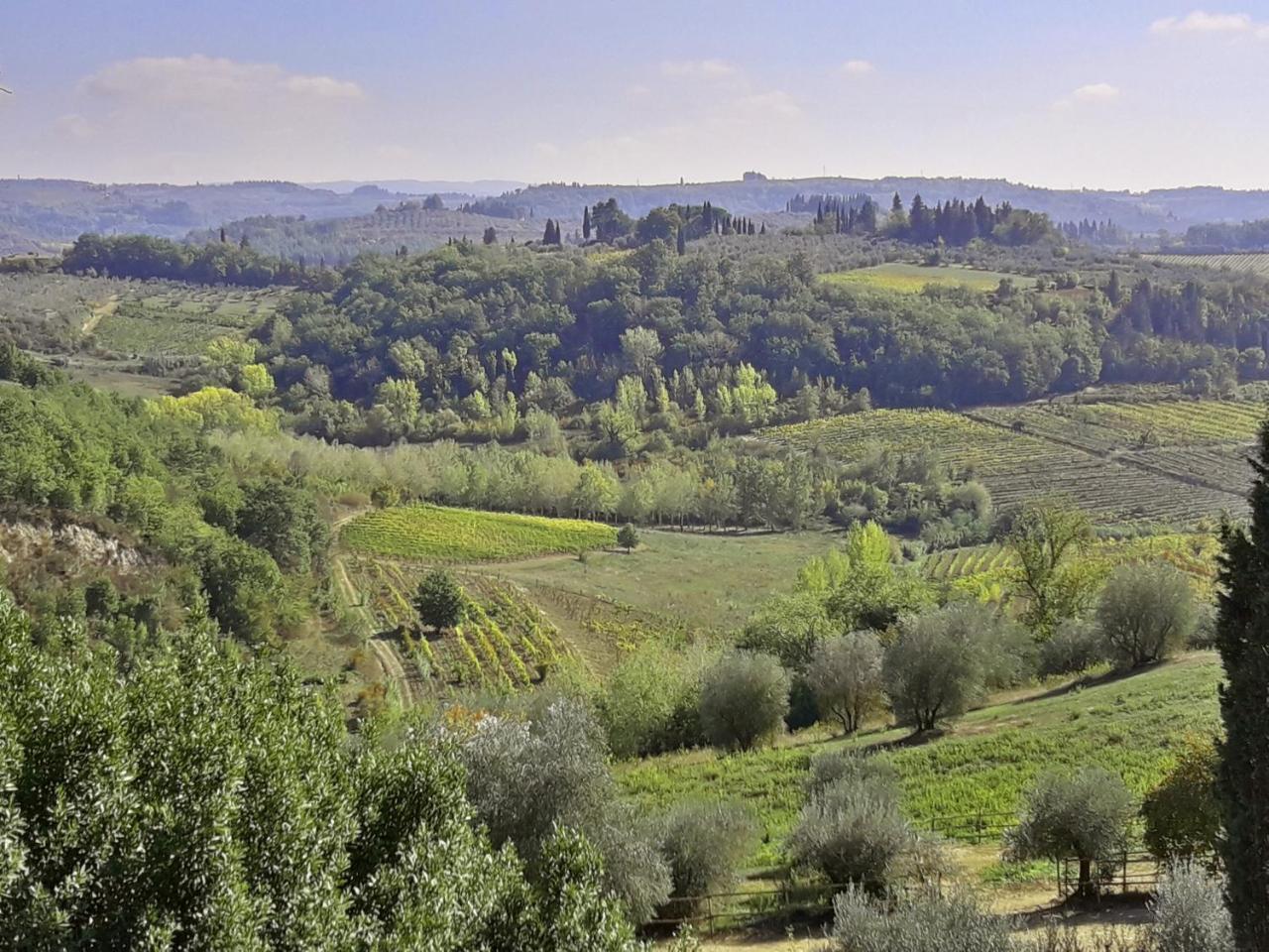 Agriturismo Villa Gorgognano Certaldo Luaran gambar